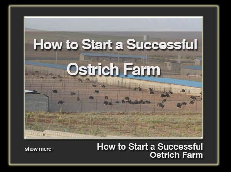 how-to-start-en