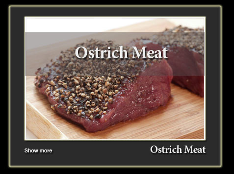 sanat ostrich-gosht-en