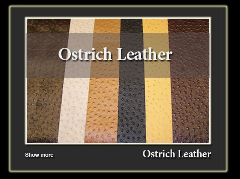 sanat ostrich-leather-en