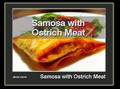 samosa-en