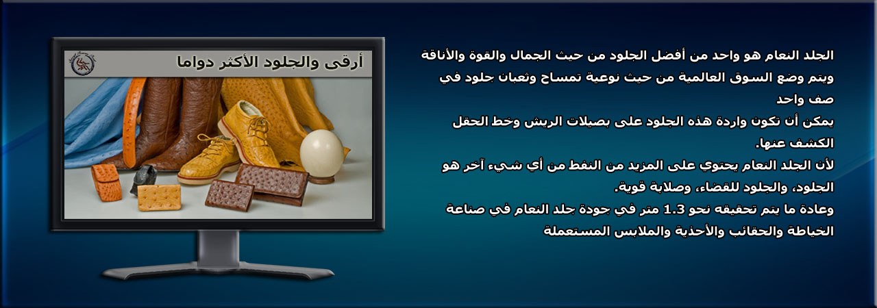 charm2-ar